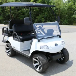 Evolution golf cart for sale