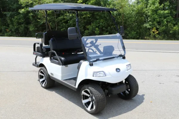 Evolution golf cart for sale